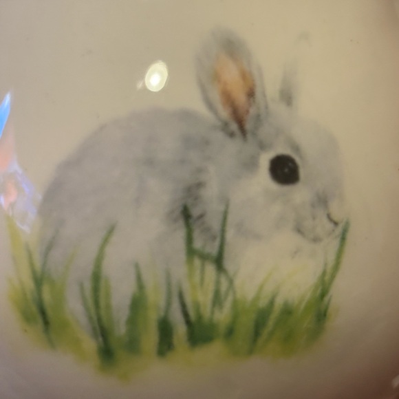 Charming Rabbit Salt and Pepper Shakers - Picture 6 of 10